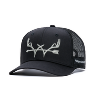 Philippians 4:13 (Antler)