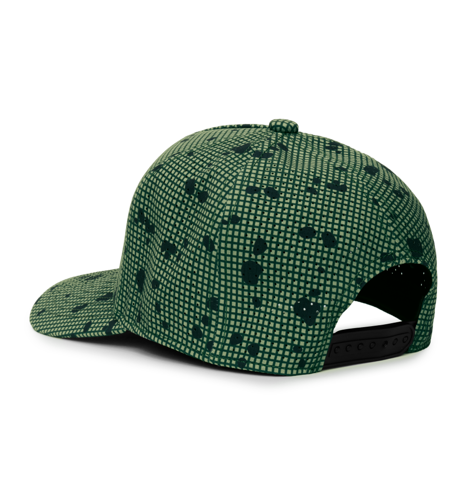 DNC (green)